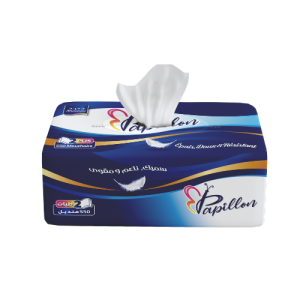 Papillon mouchoirs 2 plis x550PCS